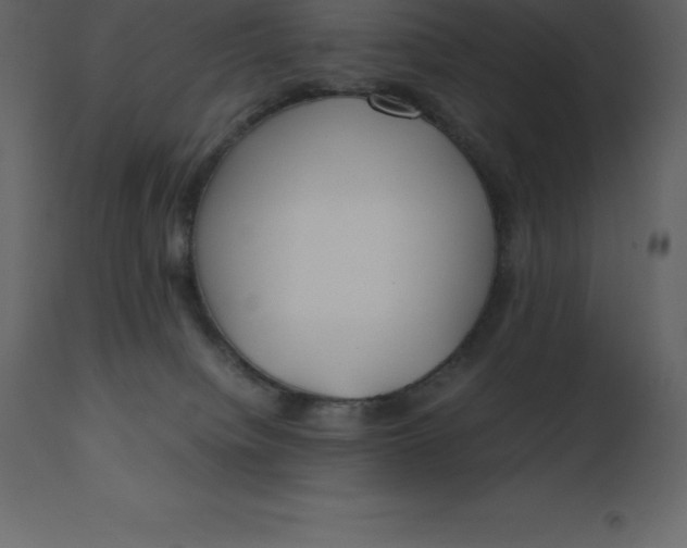 X0000110730084200906261529