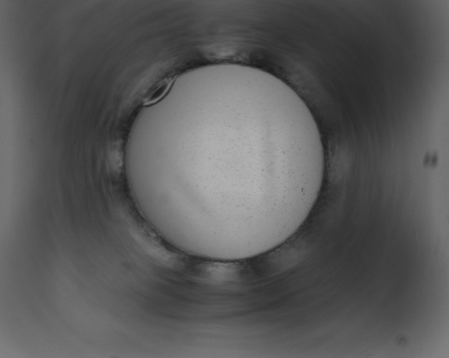 X0000110730085200906261529