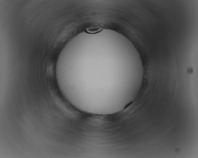 X0000110730086200906261529