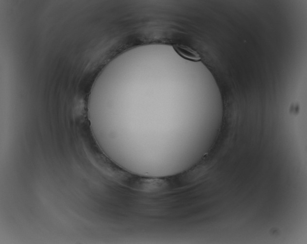 X0000110730087200906261529