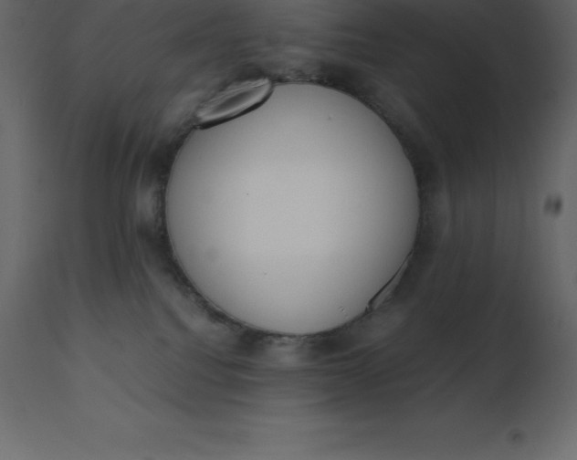 X0000110730088200906261529