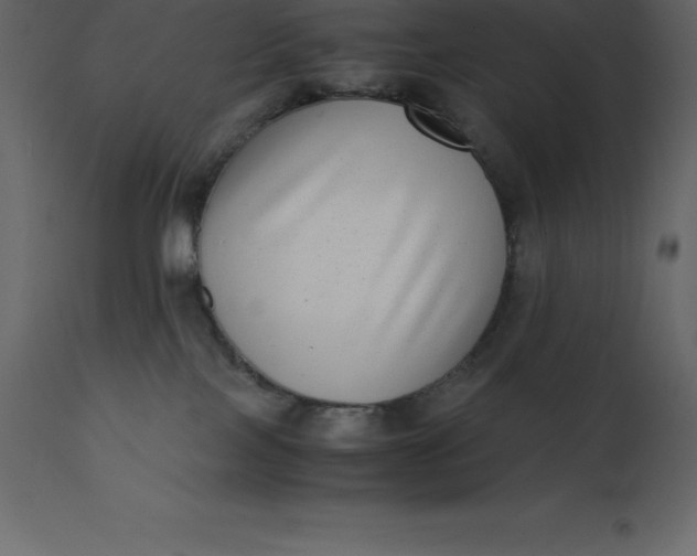 X0000110730089200906261529