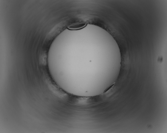 X0000110730090200906261529