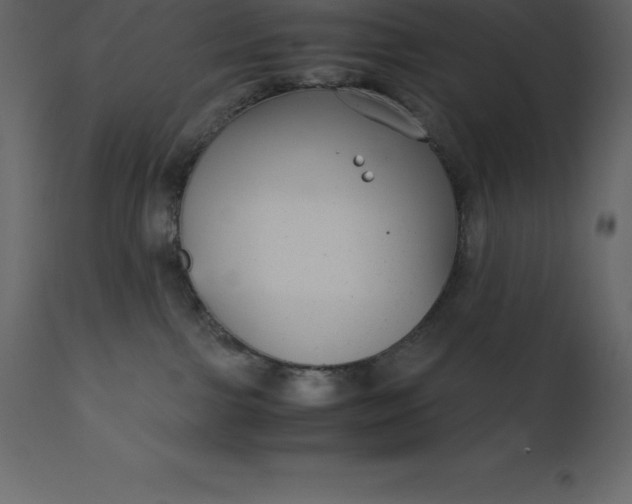 X0000110730091200906261529