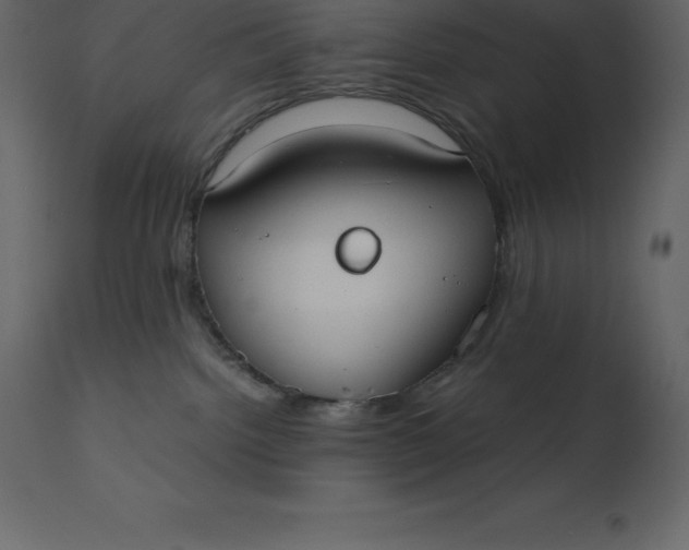 X0000110730092200906261529