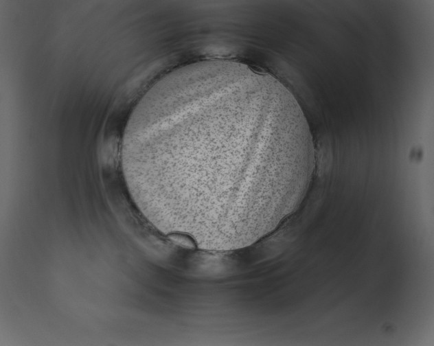 X0000110730093200906261529