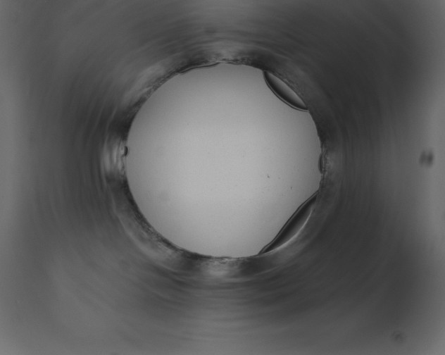 X0000110730094200906261529