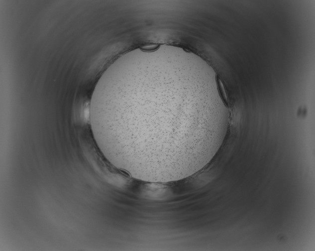 X0000110730095200906261529