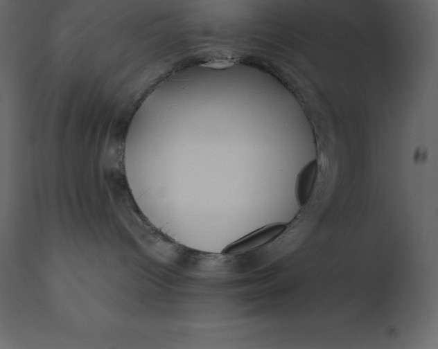 X0000110730096200906261529