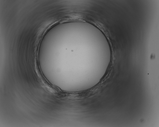 X0000110730097200906261528