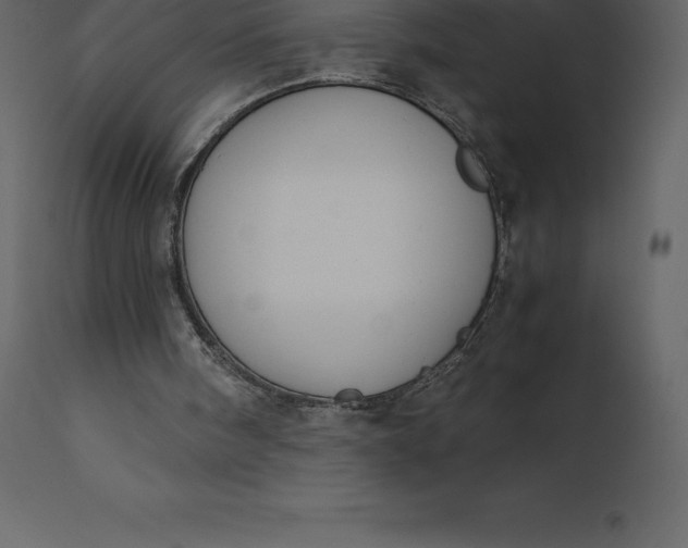 X0000110730098200906261528