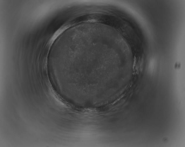 X0000110730099200906261528