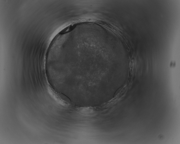 X0000110730100200906261528