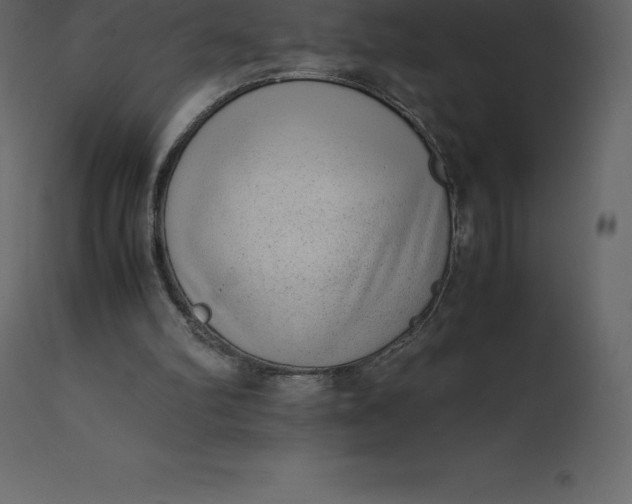 X0000110730102200906261528