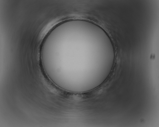 X0000110730103200906261528