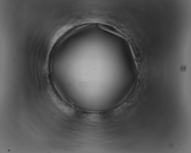 X0000110730104200906261528