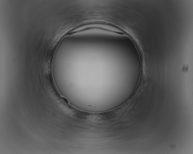 X0000110730105200906261528