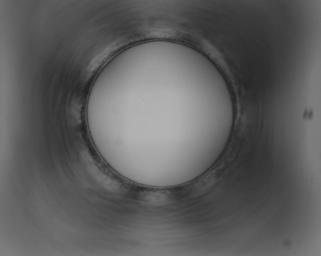 X0000110730106200906261528