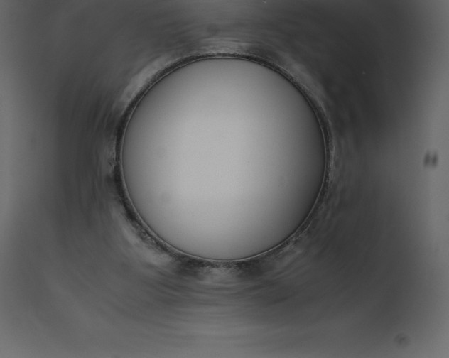 X0000110730107200906261528