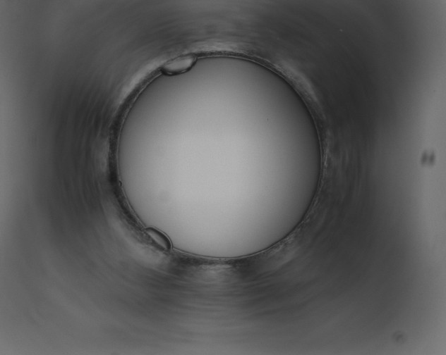 X0000110730108200906261528