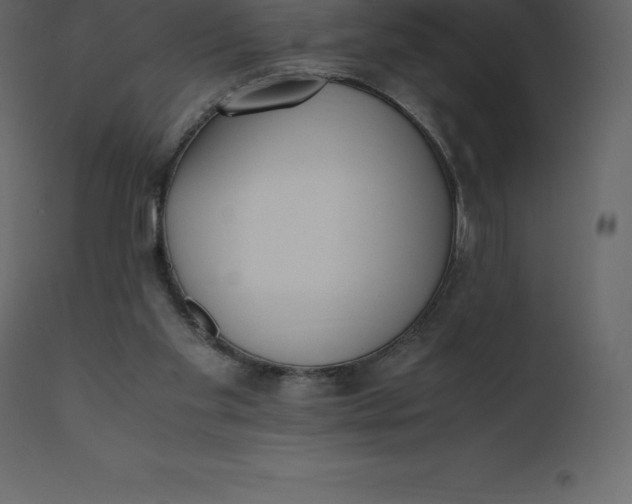 X0000110730109200906261528