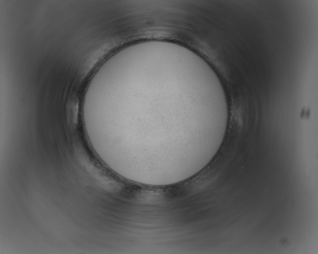 X0000110730110200906261528