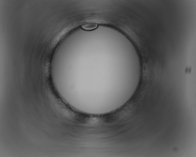 X0000110730111200906261528