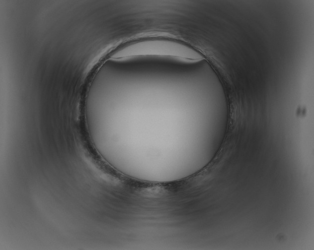 X0000110730112200906261528