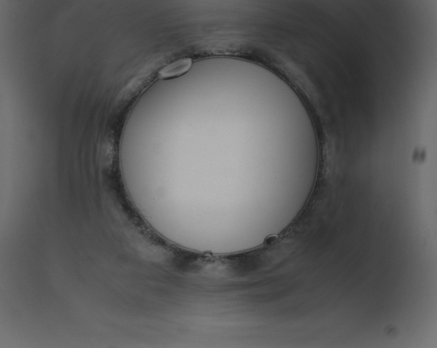 X0000110730113200906261528