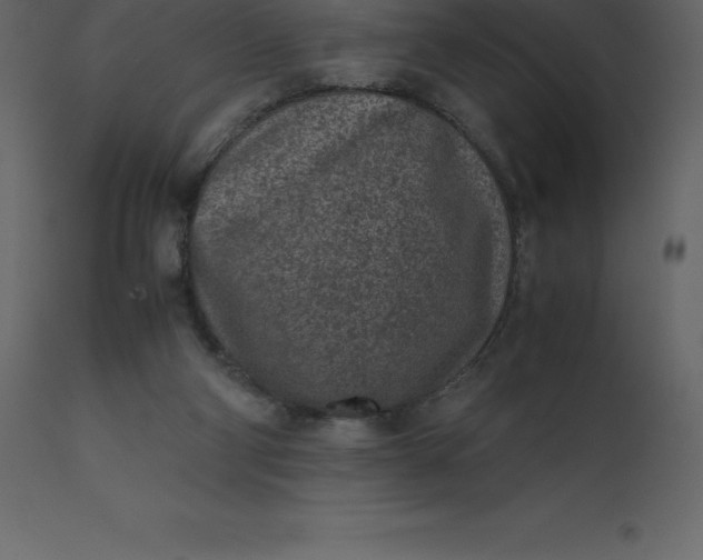 X0000110730114200906261528