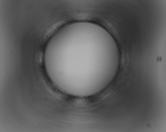 X0000110730115200906261528