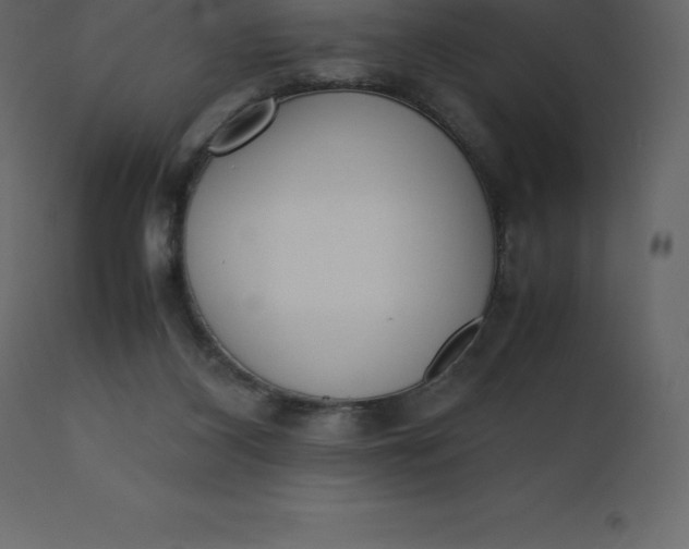 X0000110730116200906261528