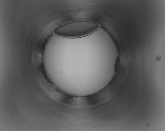 X0000110730117200906261528