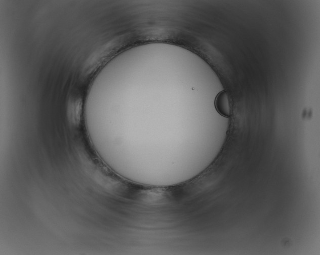 X0000110730118200906261528