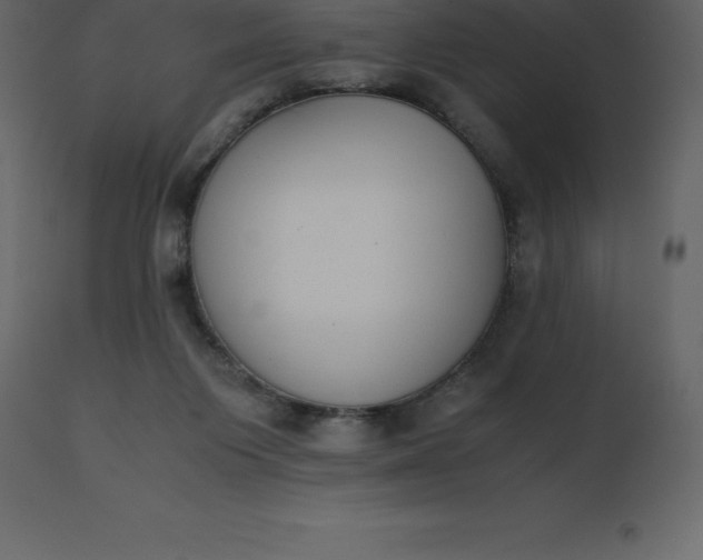 X0000110730119200906261528