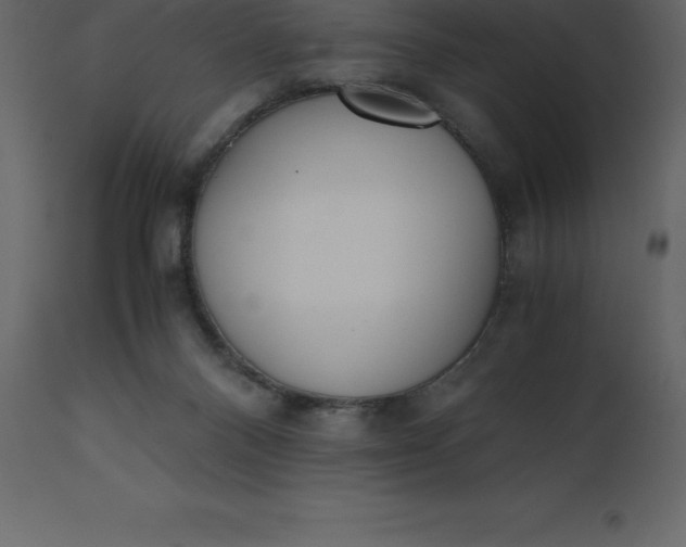 X0000110730120200906261528