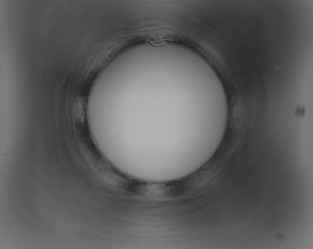 X0000110730121200906261528