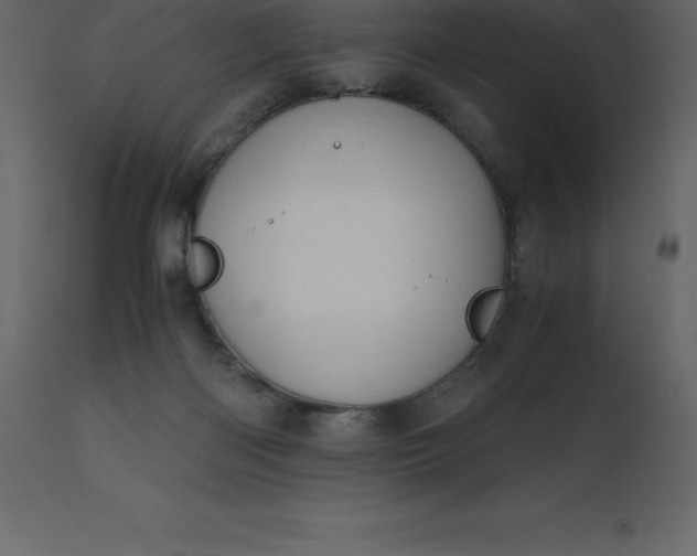 X0000110730122200906261528