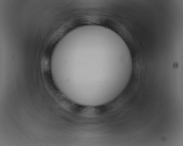 X0000110730123200906261528