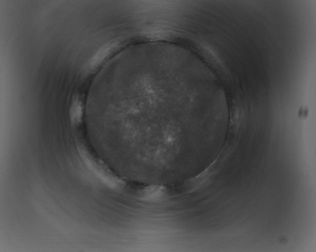 X0000110730124200906261528