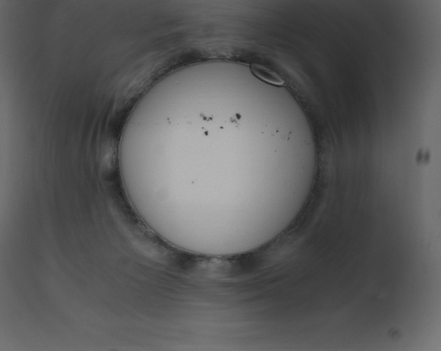 X0000110730125200906261528