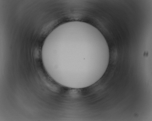 X0000110730126200906261528