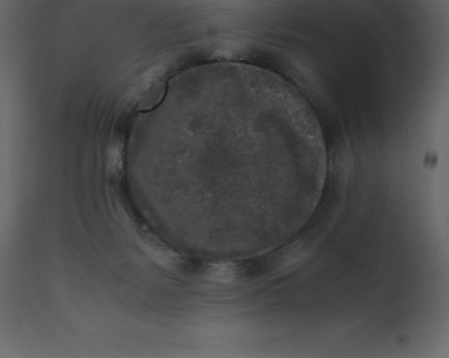 X0000110730127200906261528