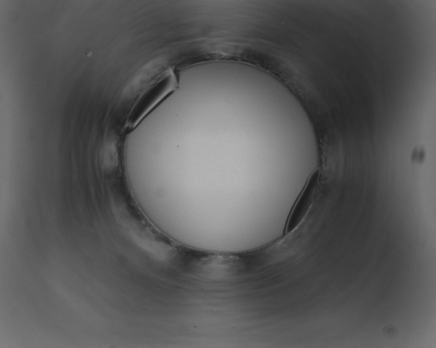 X0000110730128200906261528