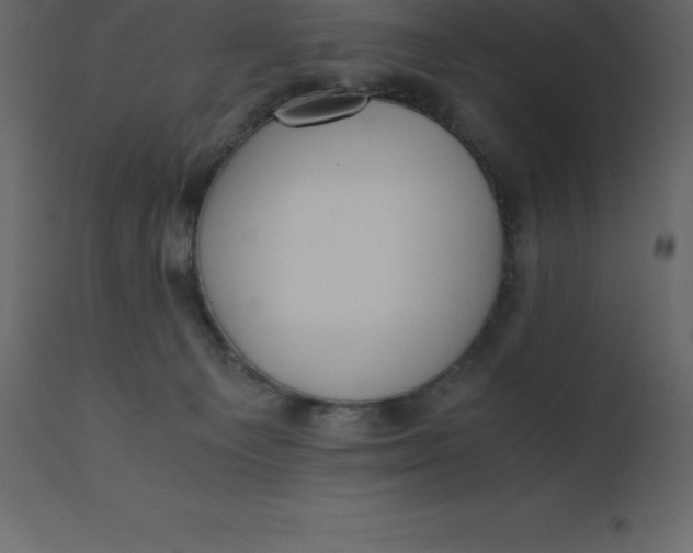 X0000110730129200906261528