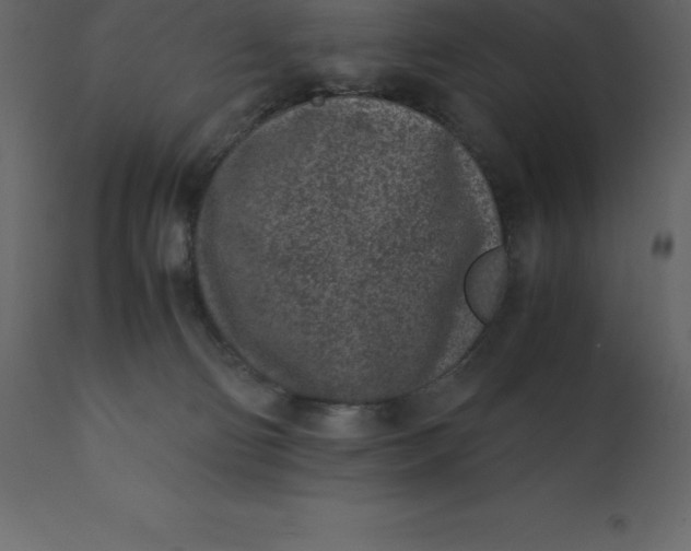 X0000110730130200906261527