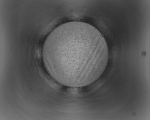 X0000110730131200906261527