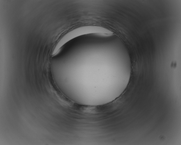 X0000110730132200906261527