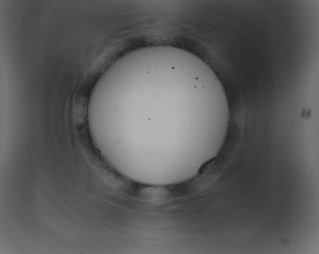 X0000110730133200906261527