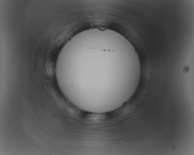 X0000110730135200906261527